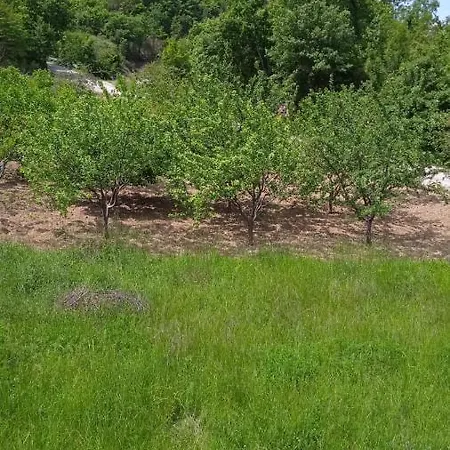 Near Omis